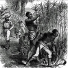 slavery1.png